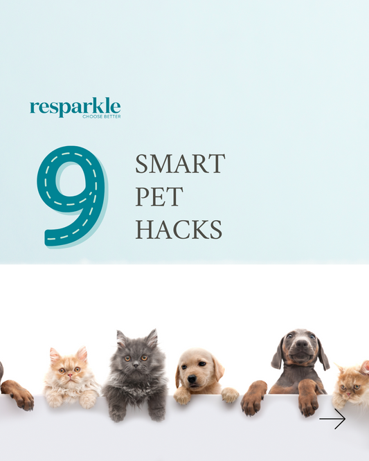 9 Smart Pet Hacks for a Cleaner, Happier Home