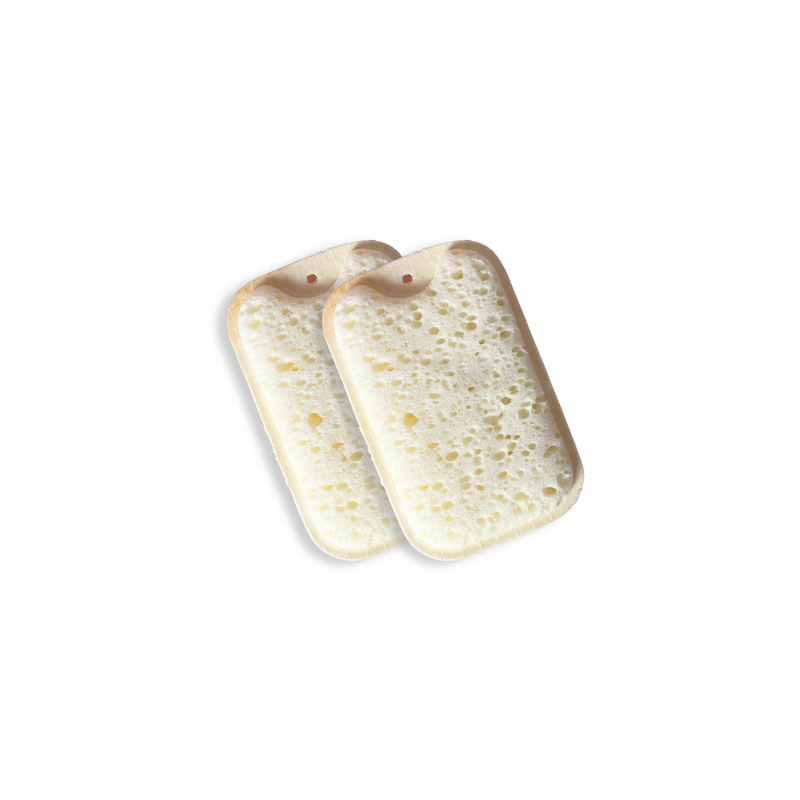 Compostable Dish Sponge x 2
