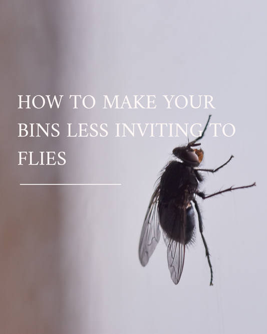 How to Make Your Bins Less Inviting to Flies