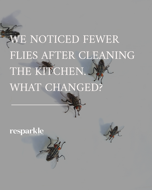We Noticed Fewer Flies After Cleaning the Kitchen. What Changed?