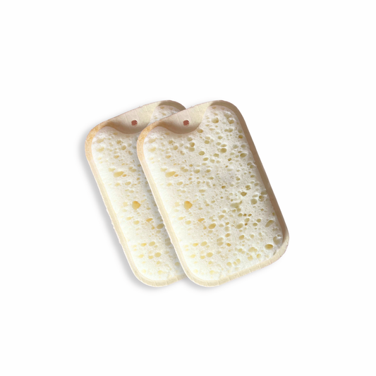 Compostable Dish Sponge x 2