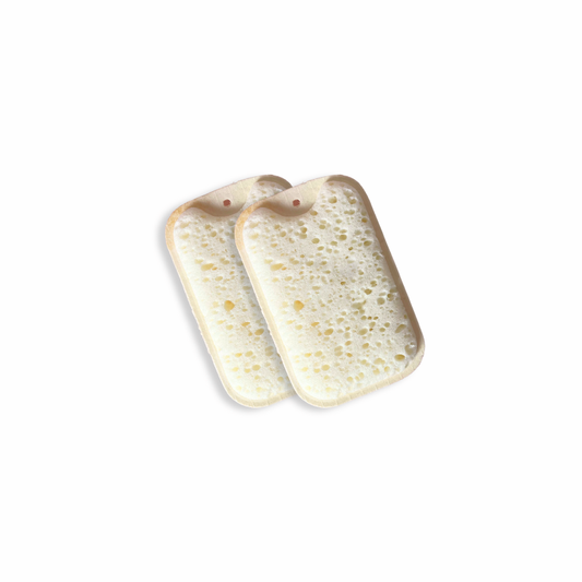 Compostable Dish Sponge x 2